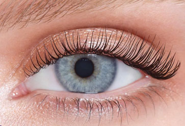 Lash lift tint services Melbourne