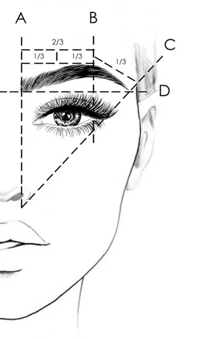 eyebrow sketch