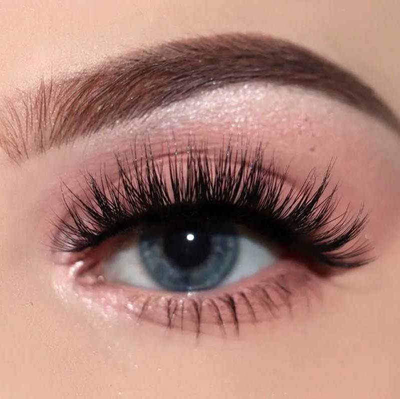 Alluring　Squirrel　Natural　Eyelash　Beauty　Eyelash　Perfect　Eyes　Extensions:　The　Touch　Ultimate　to　Guide　and　Just　extensions