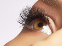 Eyelashes Trends of 2019