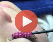 3D Volume Eyelash Extensions