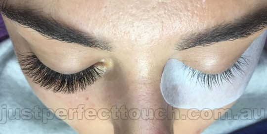 Volume lashes