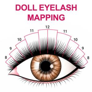 Doll eye lash mapping
