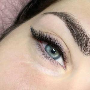 cat eye volume lashes