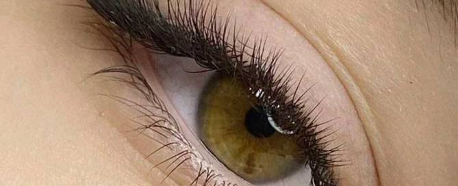 hybrid cat eye lashes