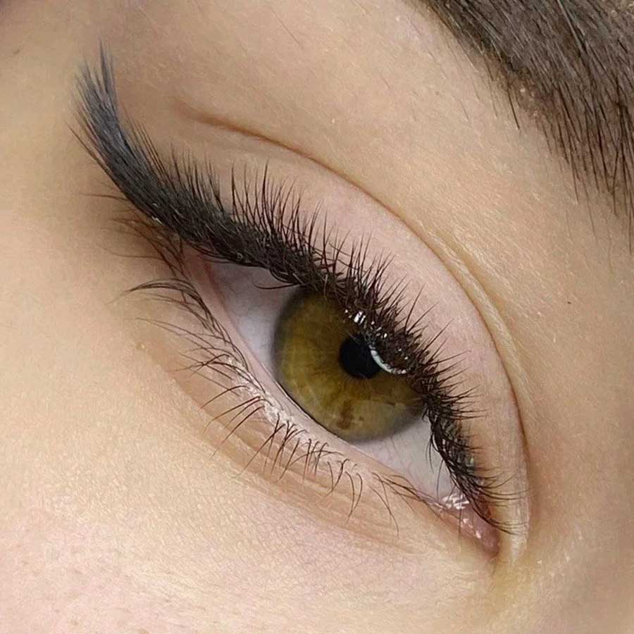 hybrid cat eye lashes