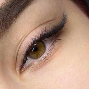 features of the Fox Lashes