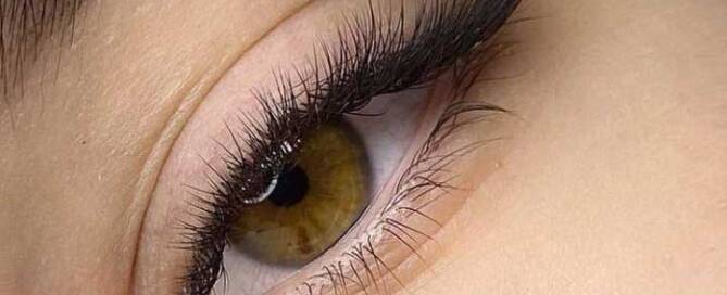 features of the Fox Lashes