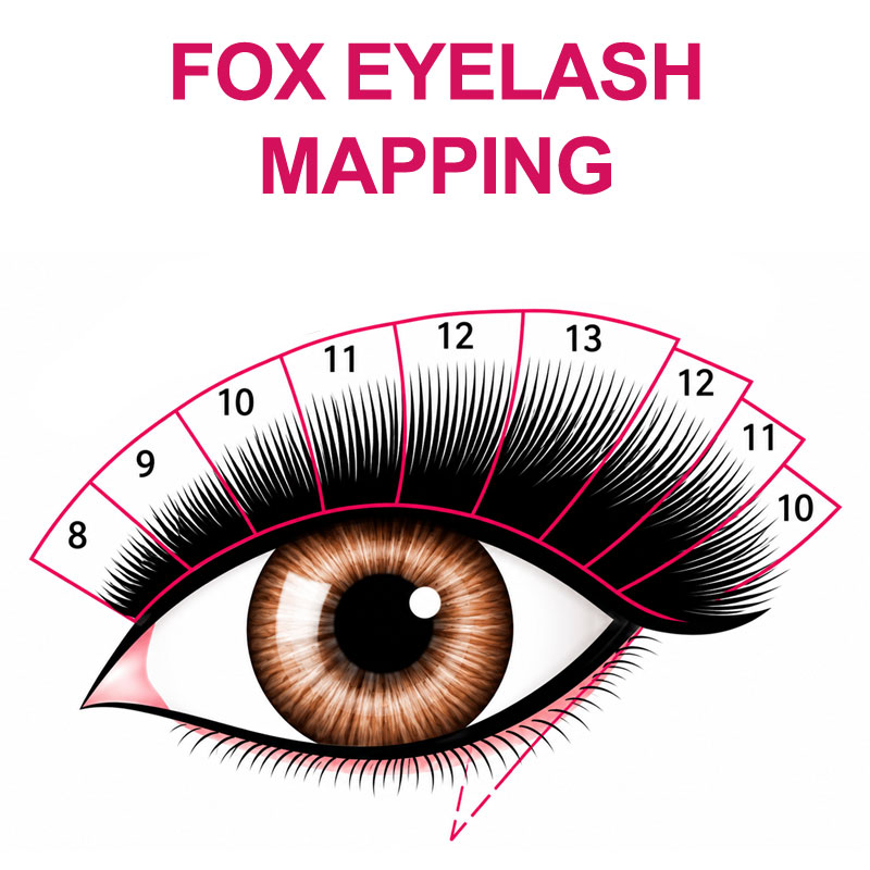fox eyelash mapping
