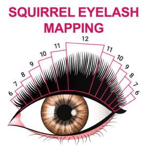squirrel eyelash mapping