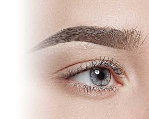 Eyebrow Tint