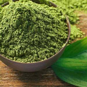 green tea extract