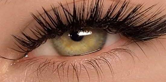 fox 3d hybrid lash extensions