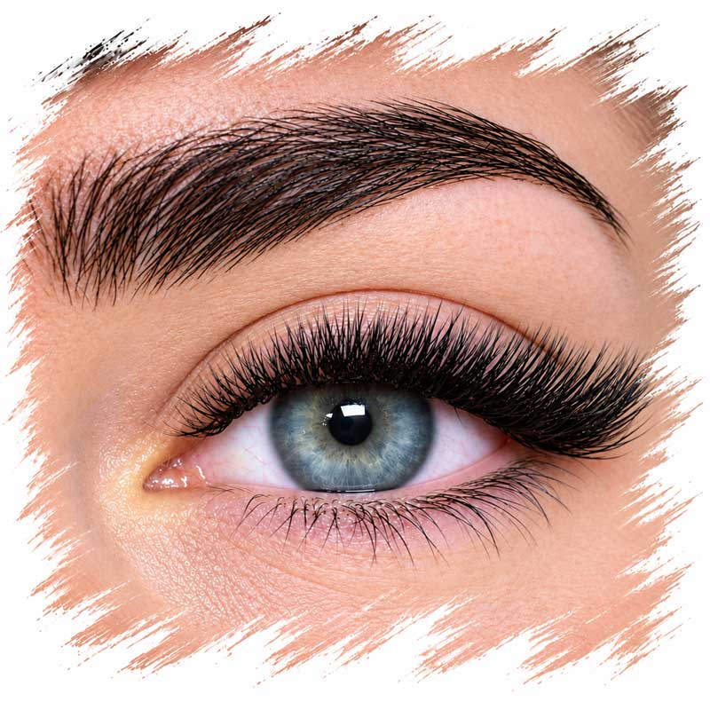 best eyelash extensions lift Brighton